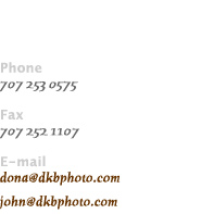 Contact Information