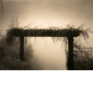 B & W Vineyard